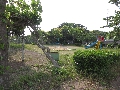 西台児童公園風景2