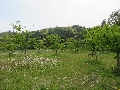 津賀城址公園風景1