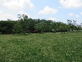 鹿島城山公園風景1