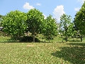 国主近隣公園風景3