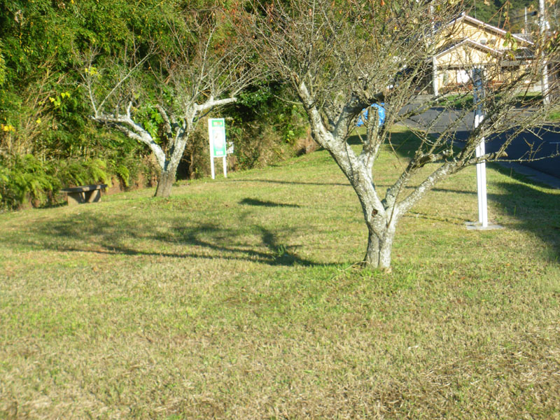 成井公園風景1