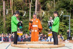 あかちゃんの相撲祭