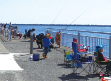 鹿島港魚釣園の写真