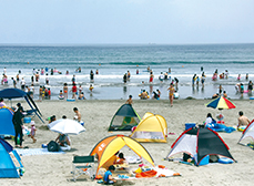 下津・平井海水浴場の写真