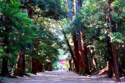 鹿島神宮の奥参道