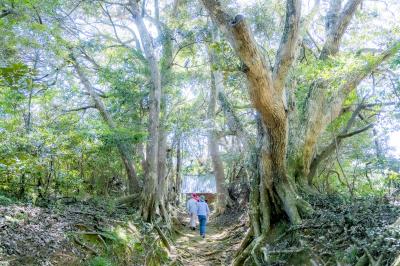 塩釜神社