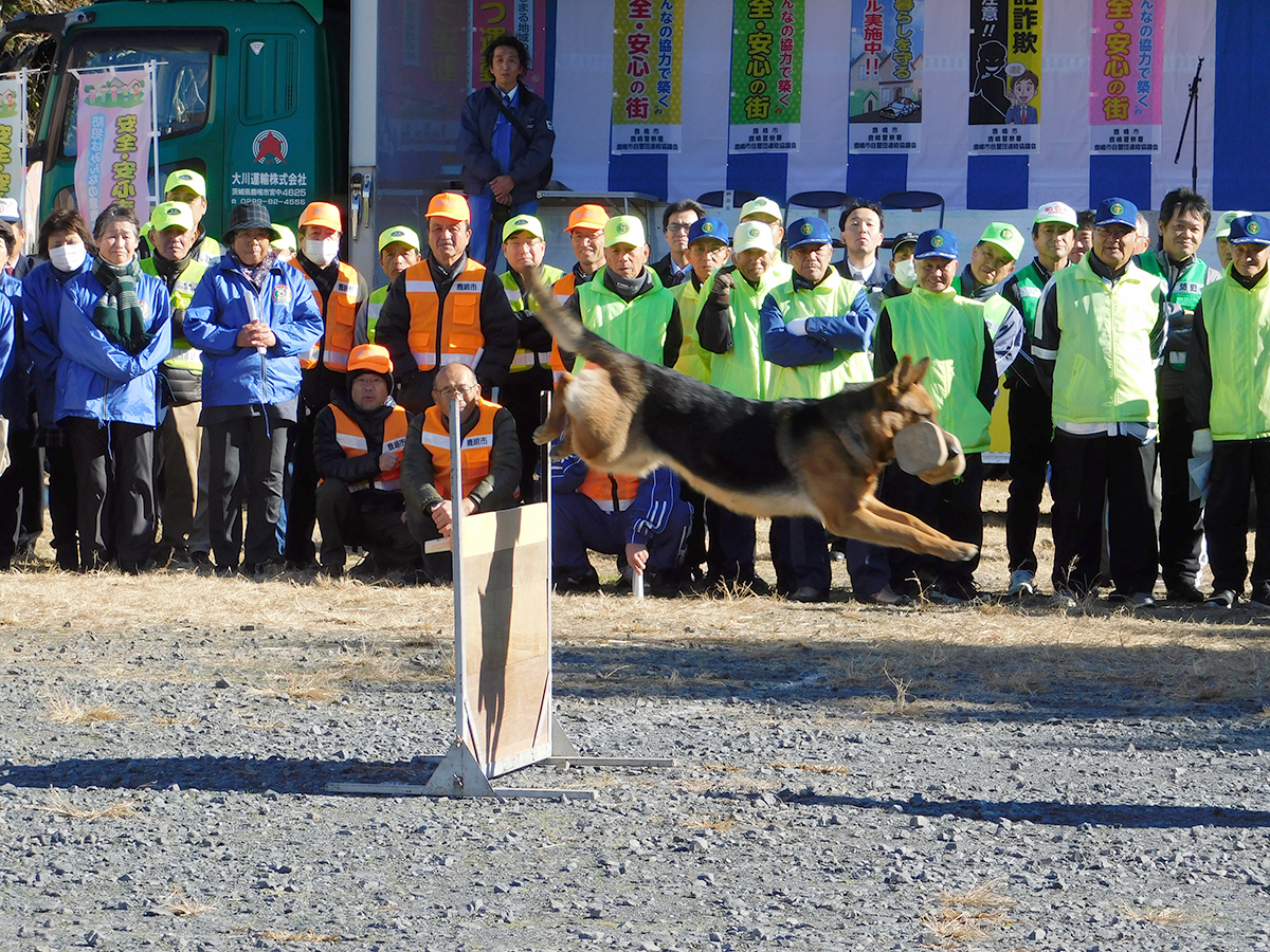 警察犬デモンストレーション