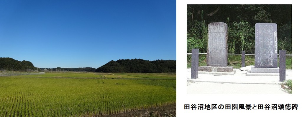 田谷沼田園