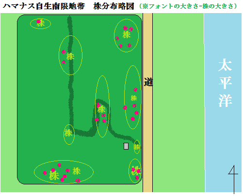 指定地南西側のハマナスの画像