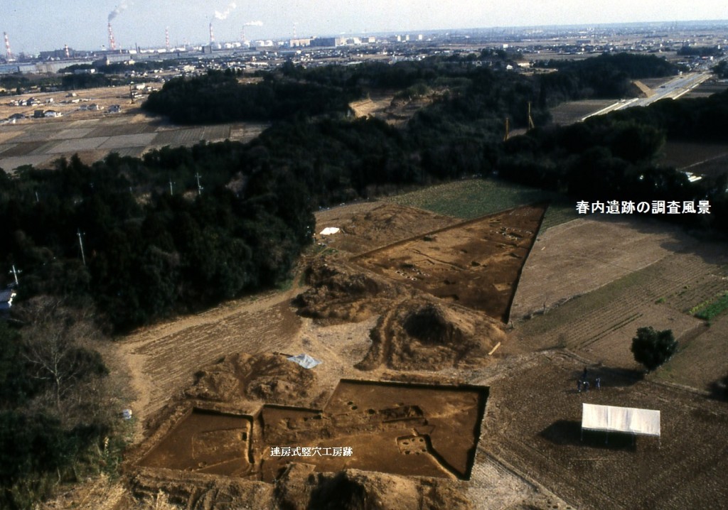 春内遺跡　空撮