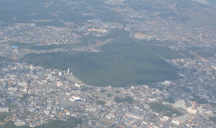 鹿島神宮樹叢 の画像