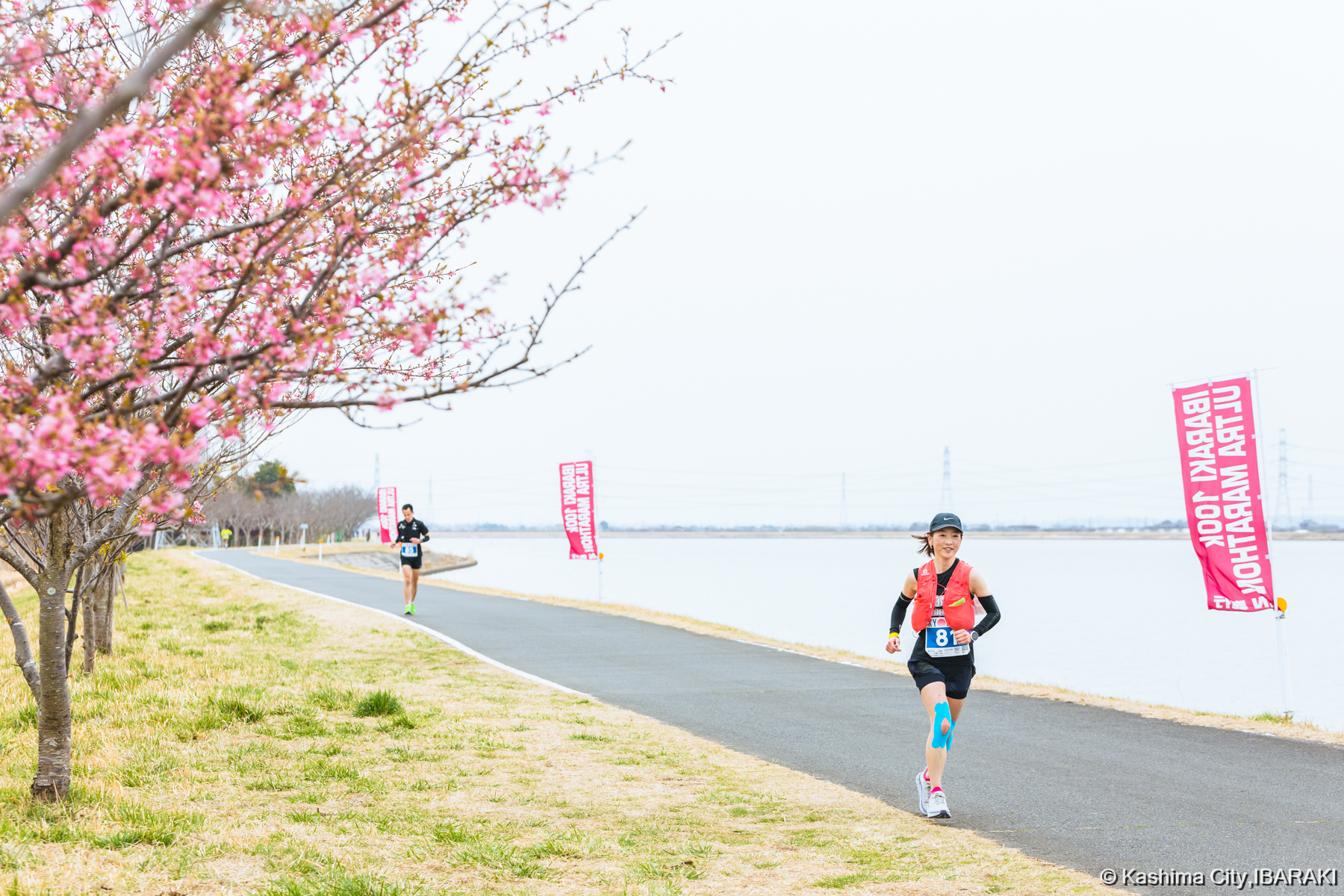 桜とランナー