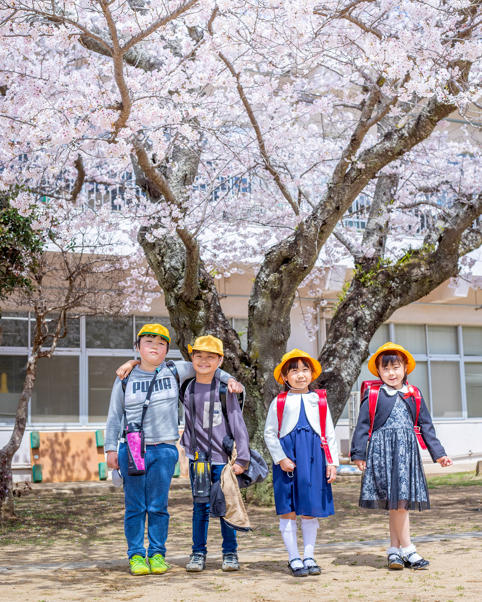 桜の木の下で記念撮影