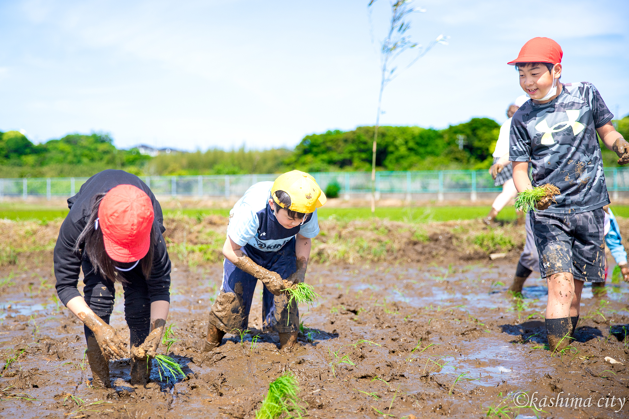 田植えを楽しむ生徒たち田植えを2