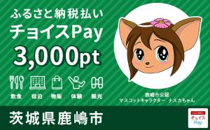 3000P