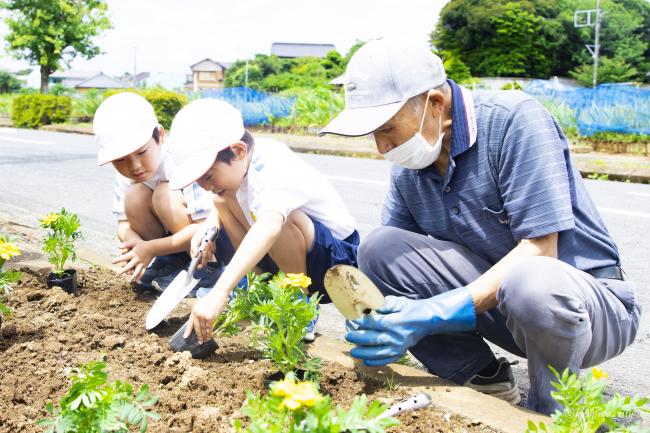 小学生とシニアクラブの方々で花植え②（鉢形小）