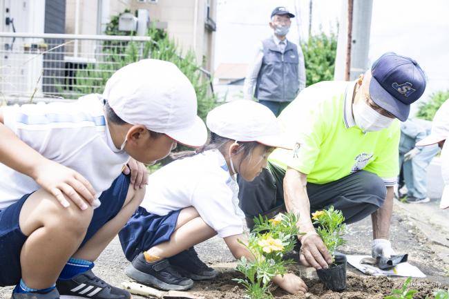 小学生とシニアクラブの方々で花植え③（鉢形小）