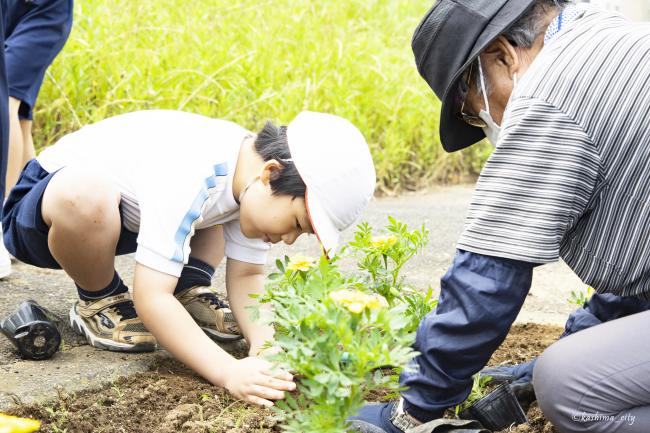 小学生とシニアクラブの方々で花植え④（鉢形小）