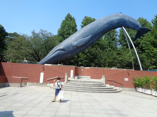 シロナガスクジラの前で記念撮影