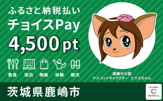 4500pt