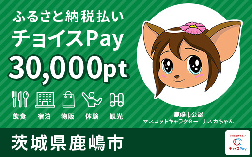 30000pt