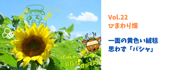 vol.22へ