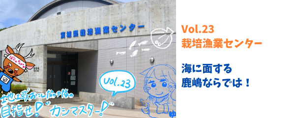 vol.23へ