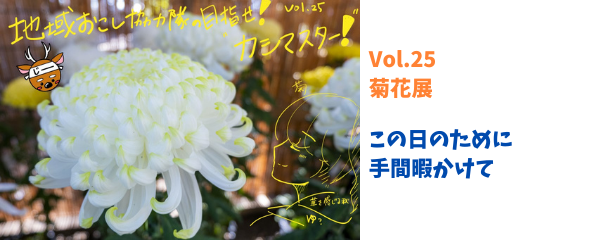 vol.25へ