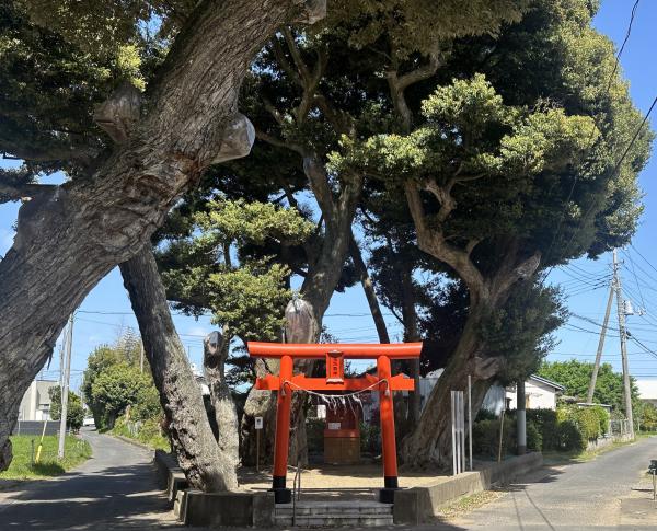 三笠山道路衢神