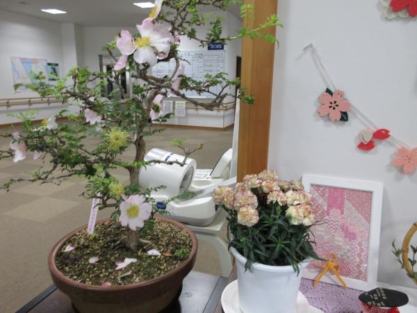 花の様子