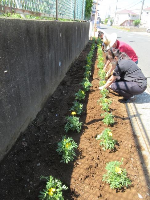 地域環境専門部　花植え