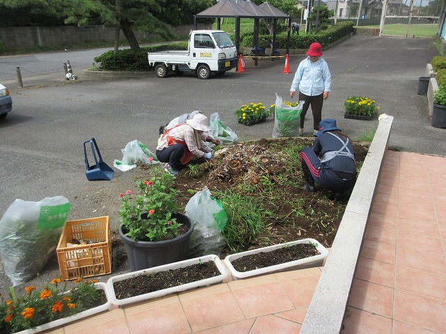 花苗植え