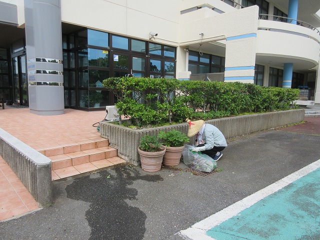 花苗植え