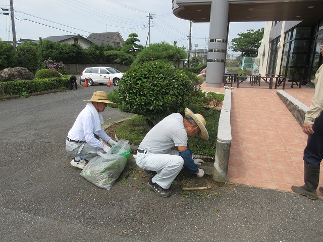 花苗植え
