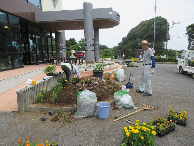 花苗植え
