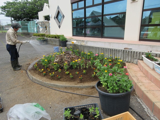 花苗植え