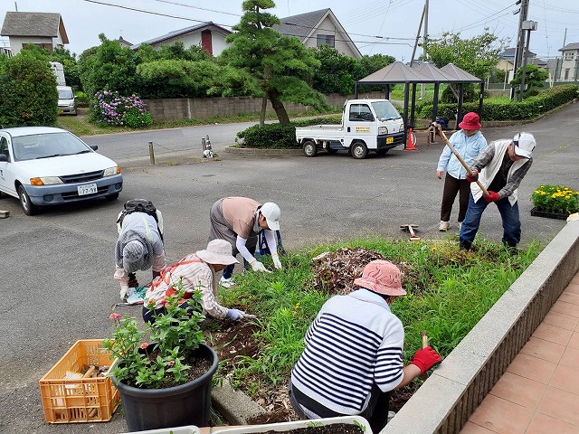 花苗植え