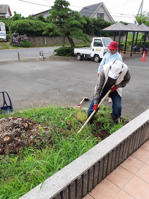 花苗植え