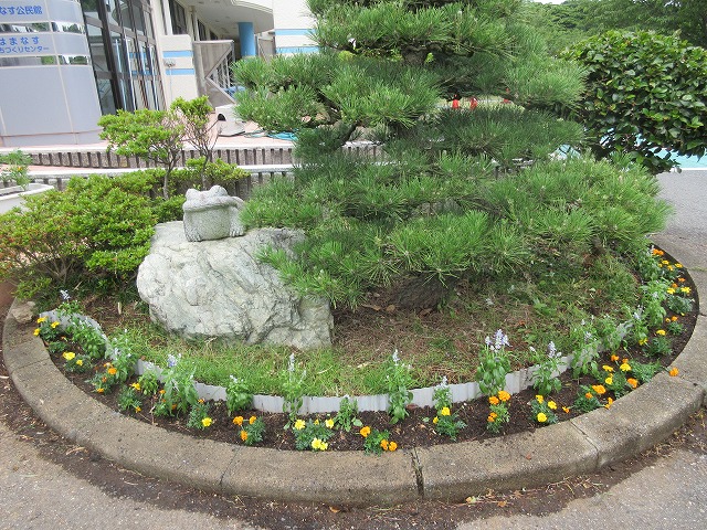 花苗植え