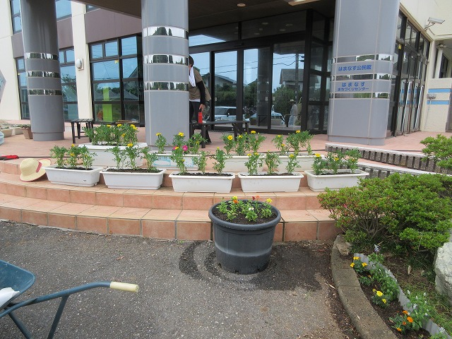 花苗植え
