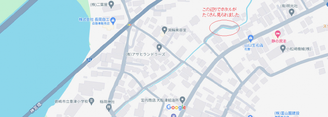 ホタルマップ