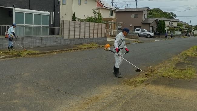 春の除草2