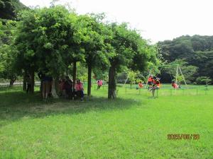 ウォーキング大会写真