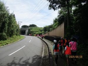 ウォーキング大会写真
