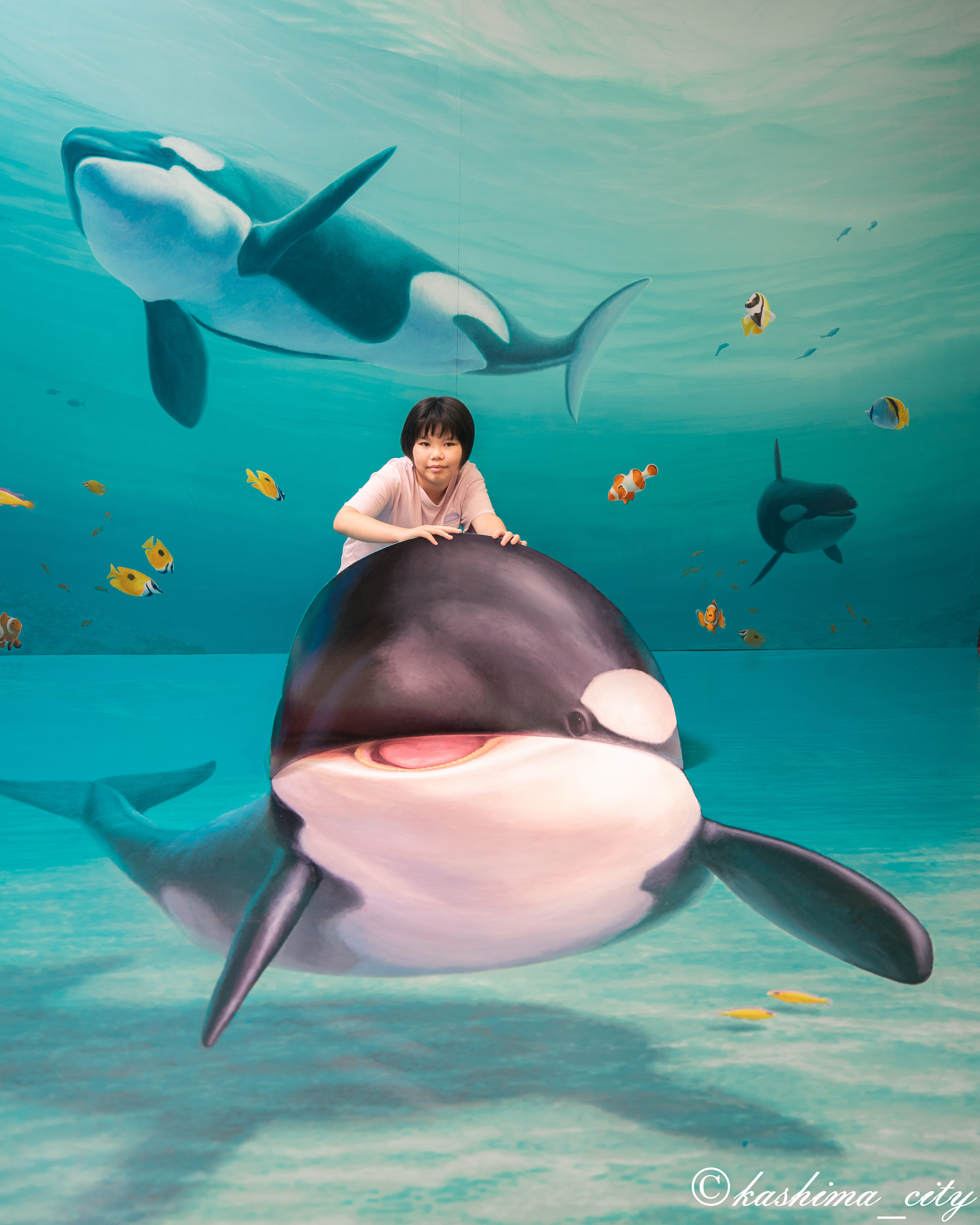 シャチに乗っているように見えるトリックアート