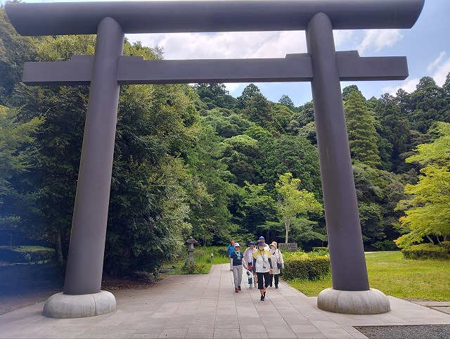 ウォーキングの様子