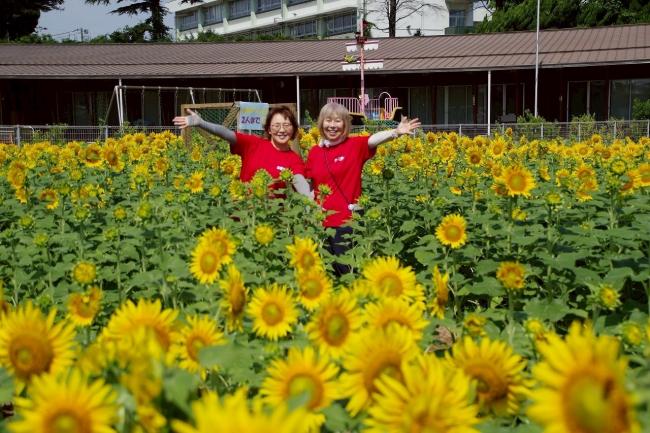 ひまわりフェス