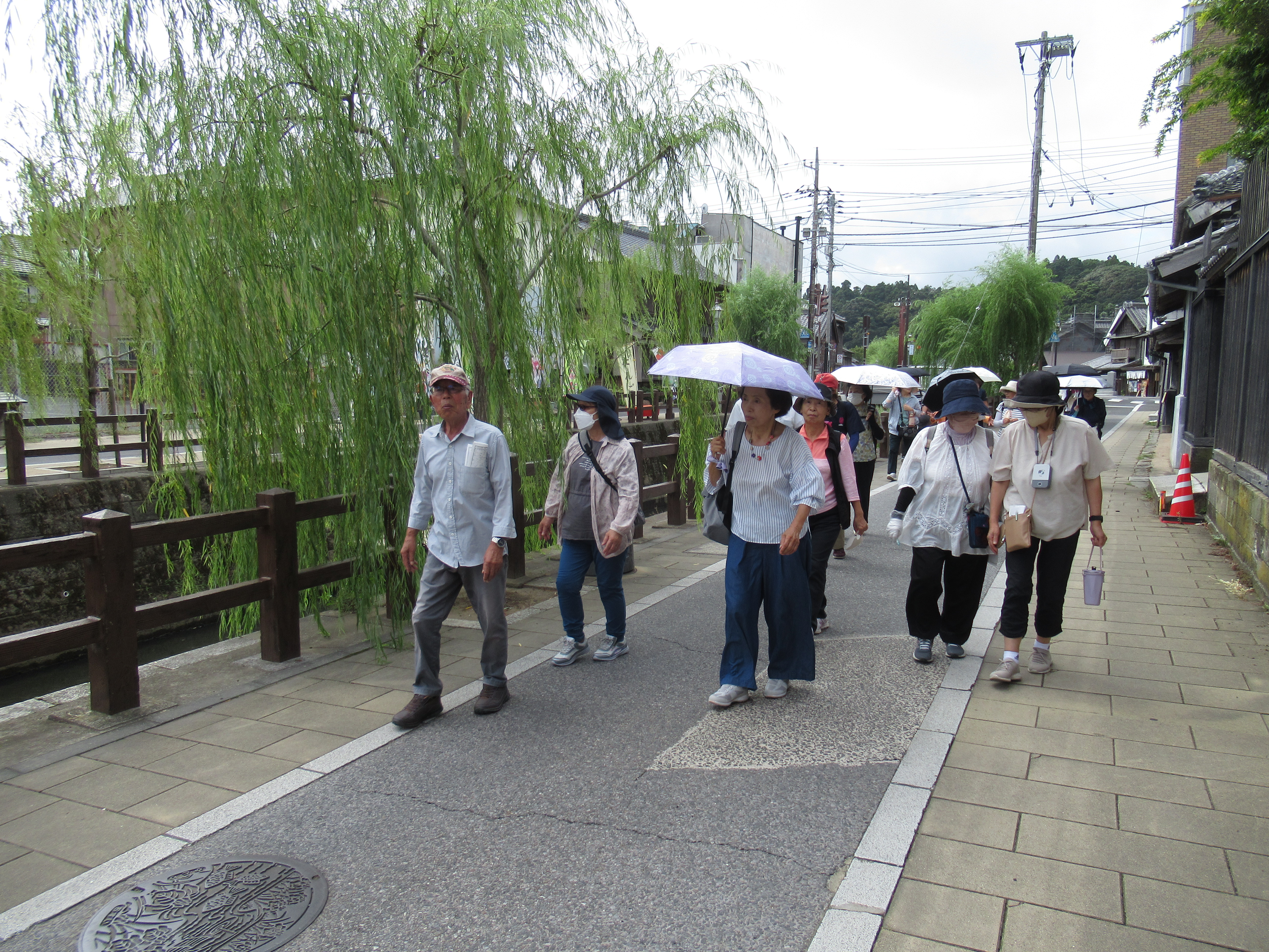ウォーキングの様子