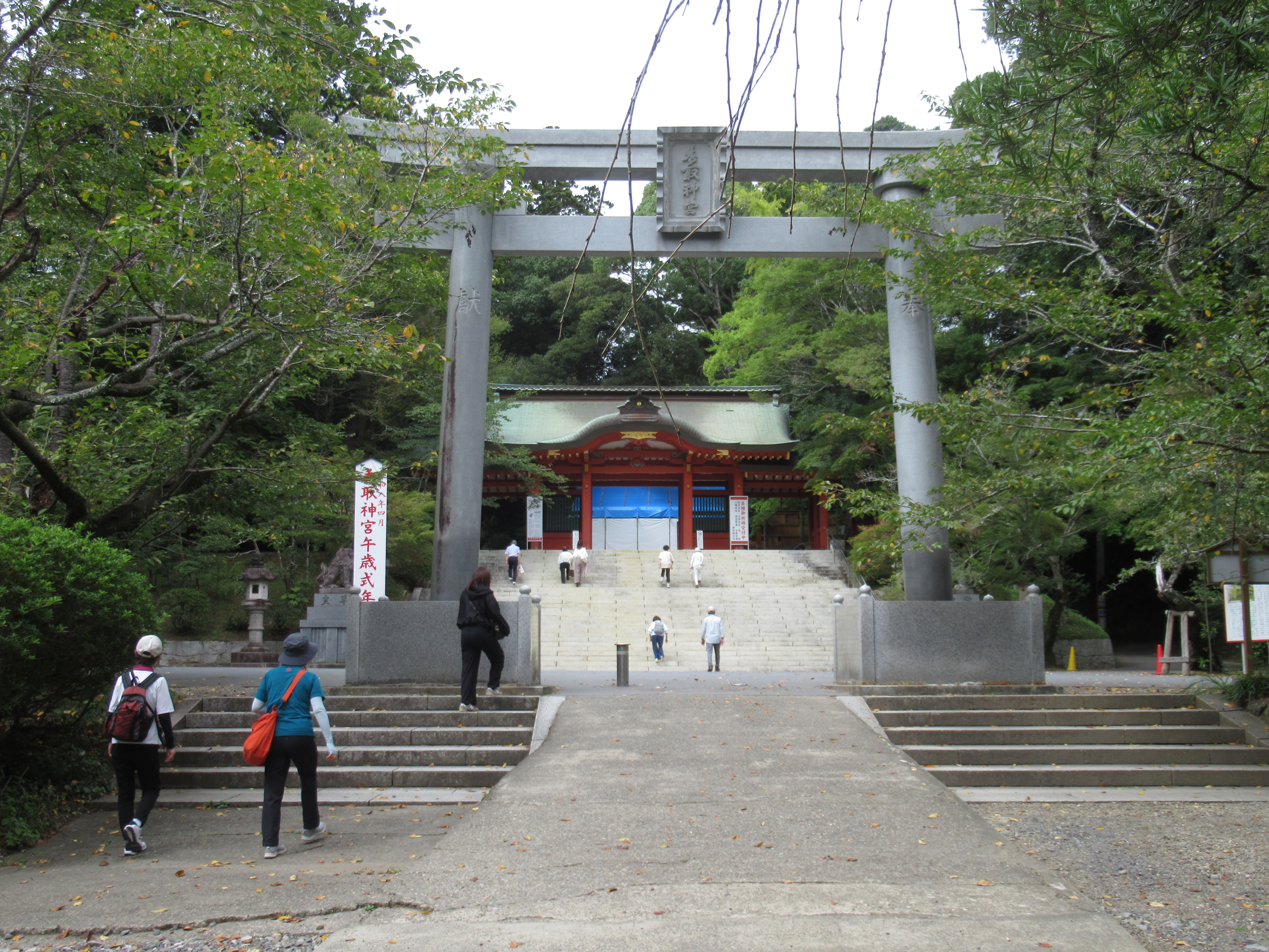 ウォーキングの様子