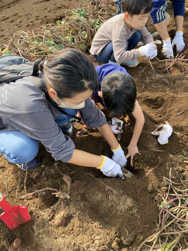 ハロウィンランタンづくり教室&さつまいも掘り